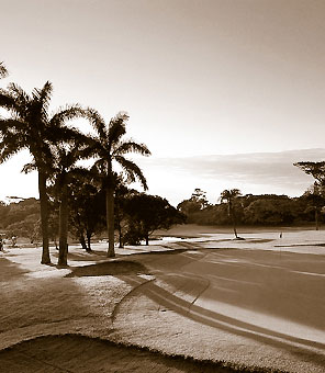Palmen begrenzen die Fairways des berhmten Selborne Golfplatzes in Kwazulu Natal südlich von Durban.